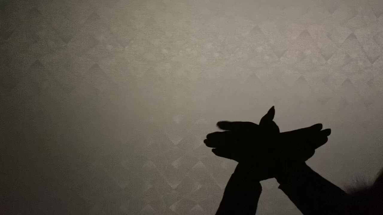 亲子视频--好玩的手影游戏  trim.DB648140-6072-4EA0-A130-18580D2AA589.MOV