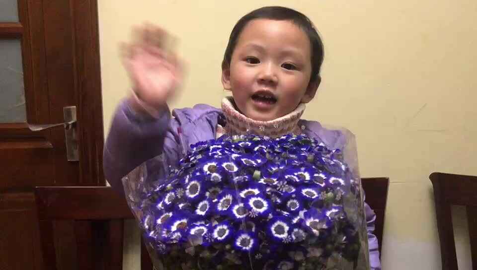 书香庭院5