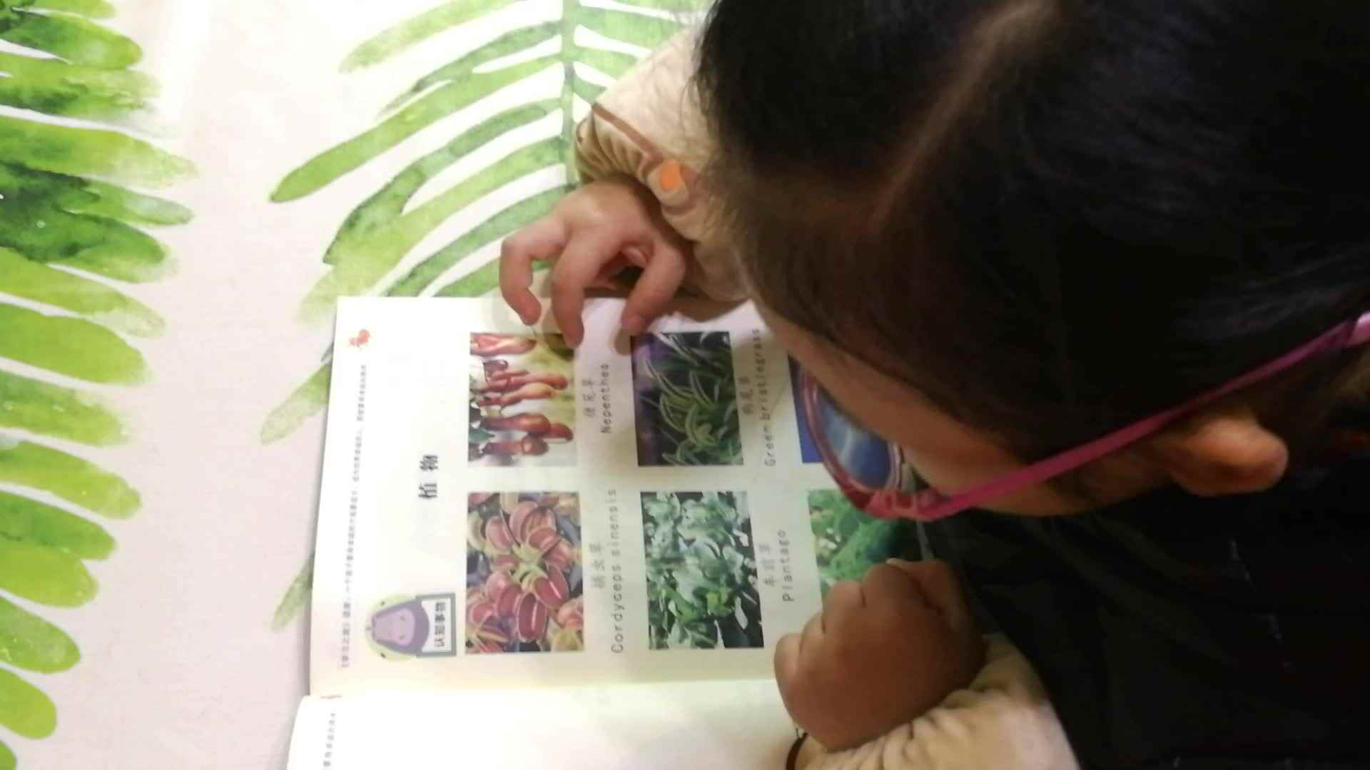 认识植物