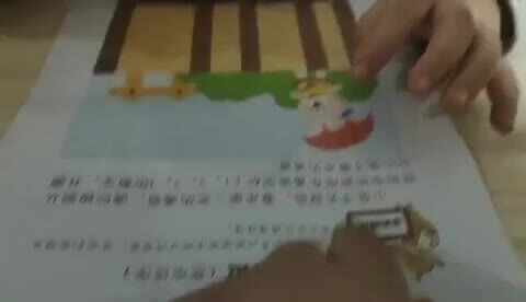 大B班郑文萍宽窄顺序