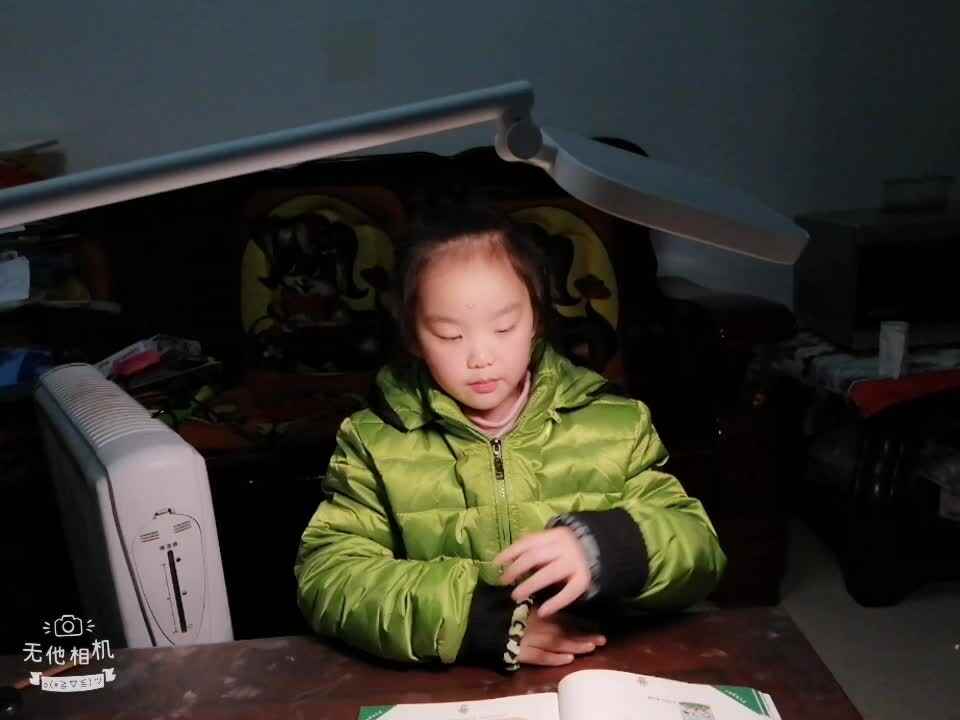 程静嘉