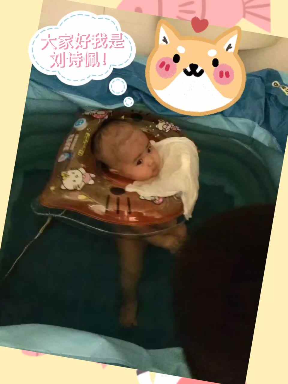 家有幼女刘诗佩