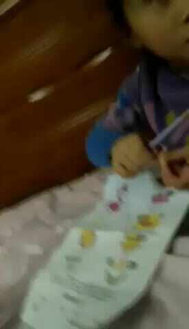 219.12.2大A班严一晨—《送动物回家》