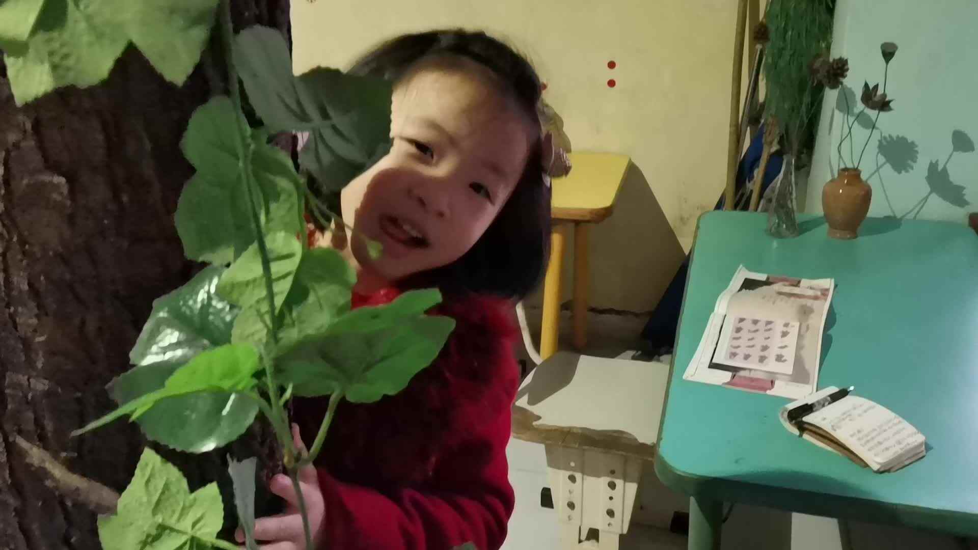 日常学习