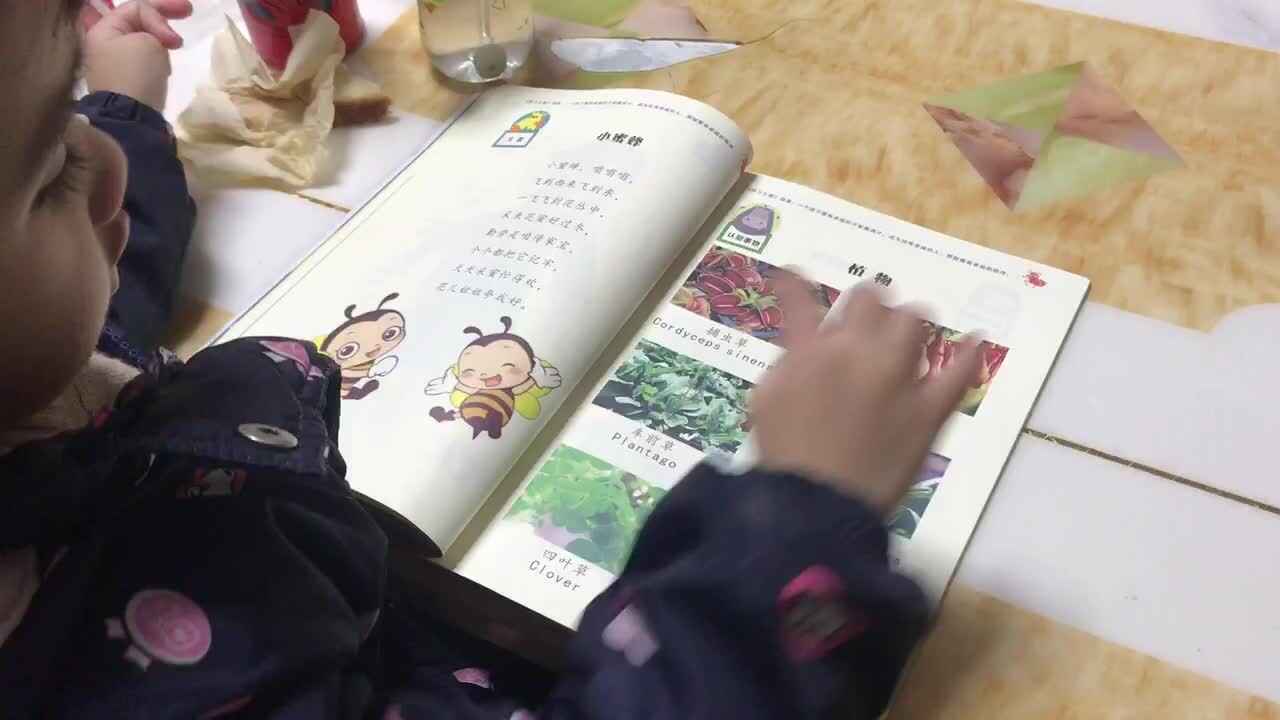 trim.91689922-53BF-443C-A614-2B1987771FBD.MOV