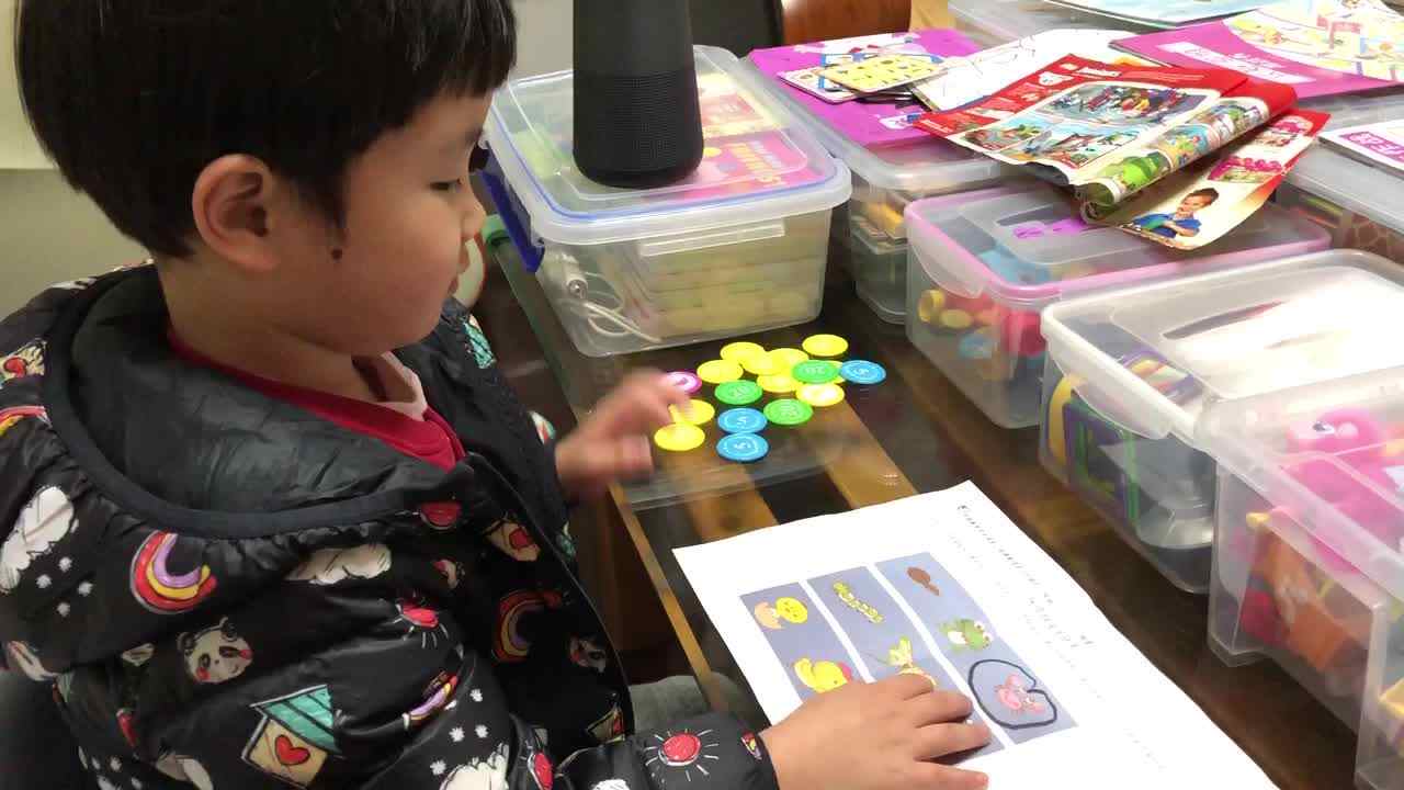 实验中班5号小朋友作业反馈