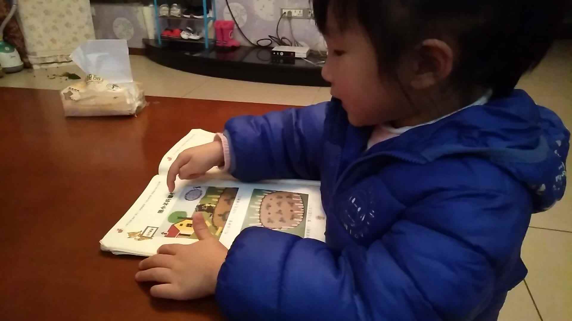 熊小弟的栅栏.mp4