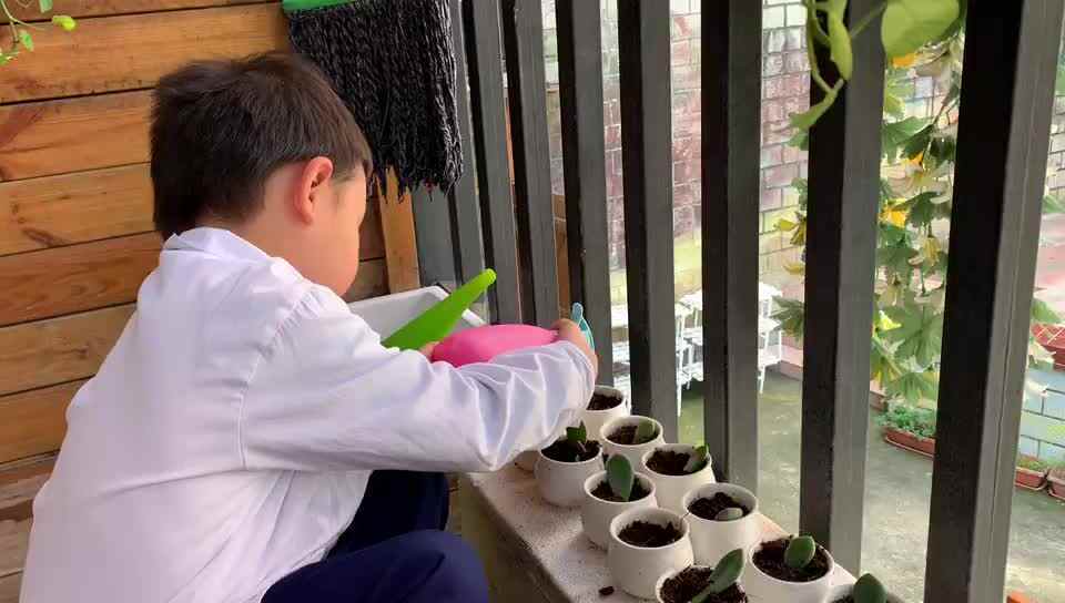 学习乐趣多8