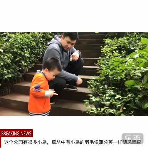愉快的周末