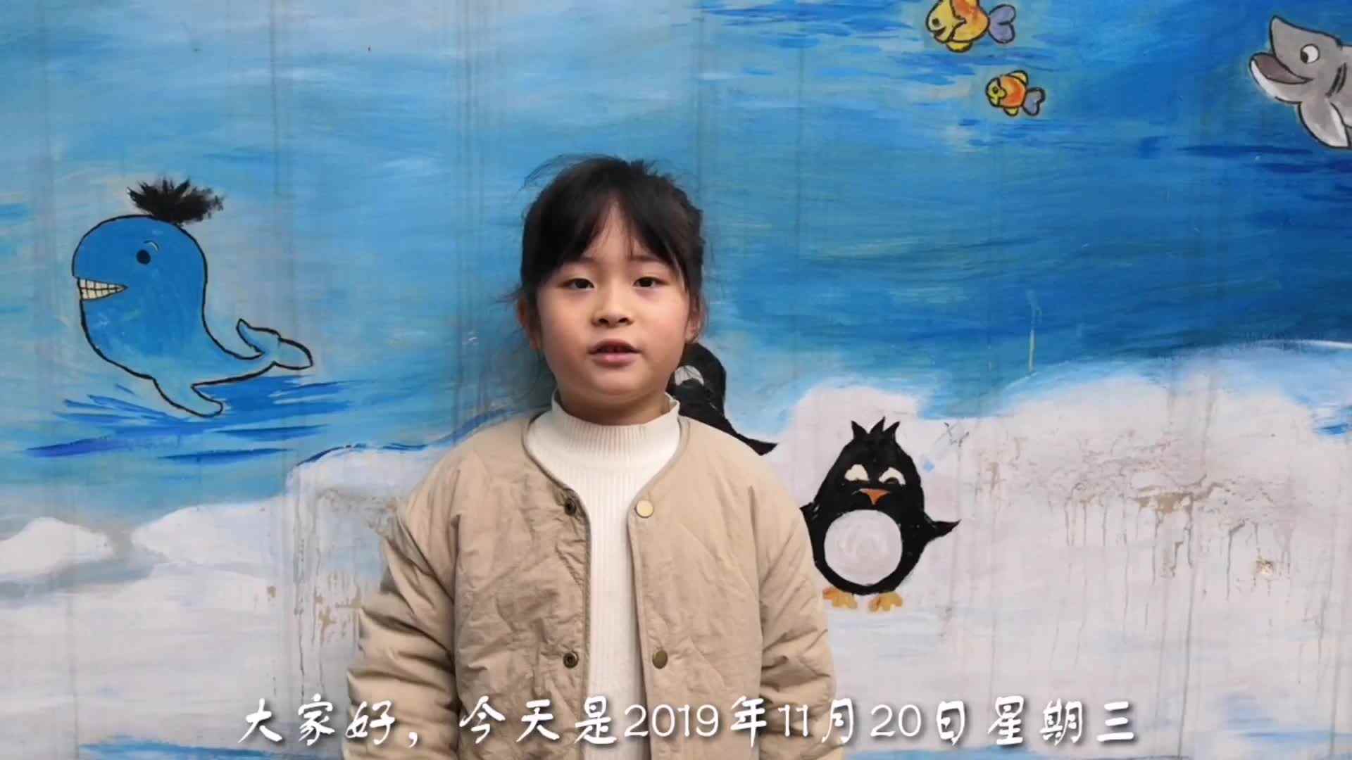 小企鹅