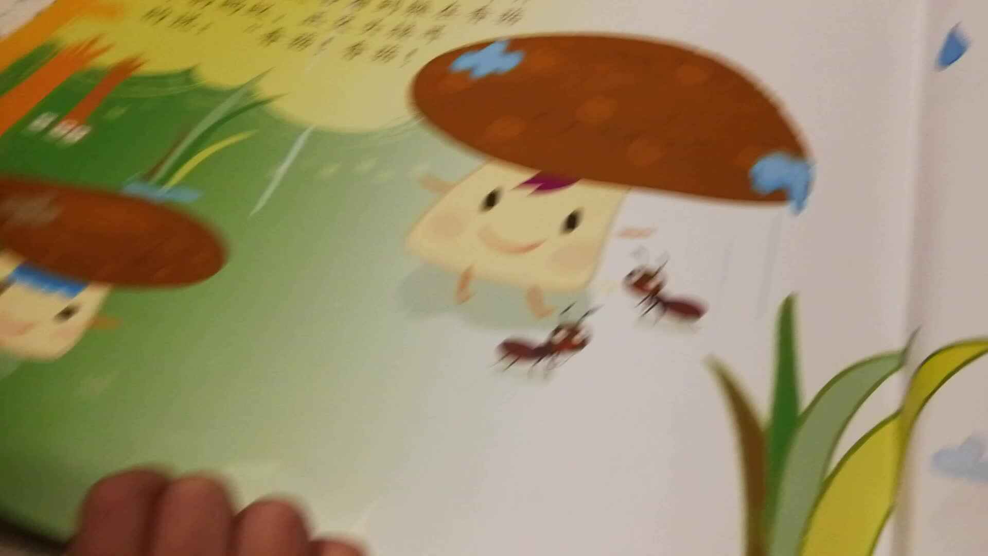 小蚂蚁