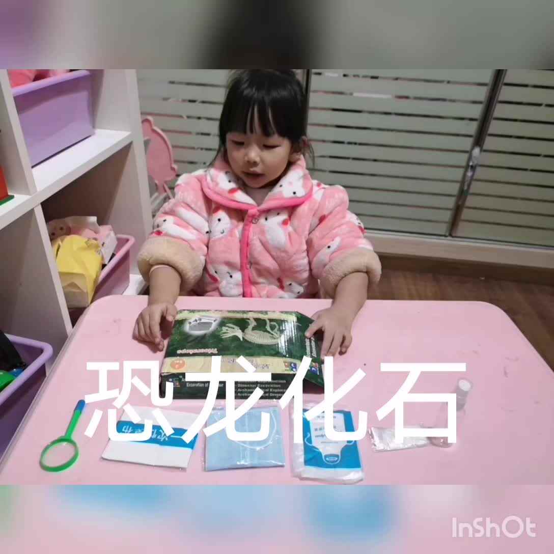 挖掘恐龙化石
