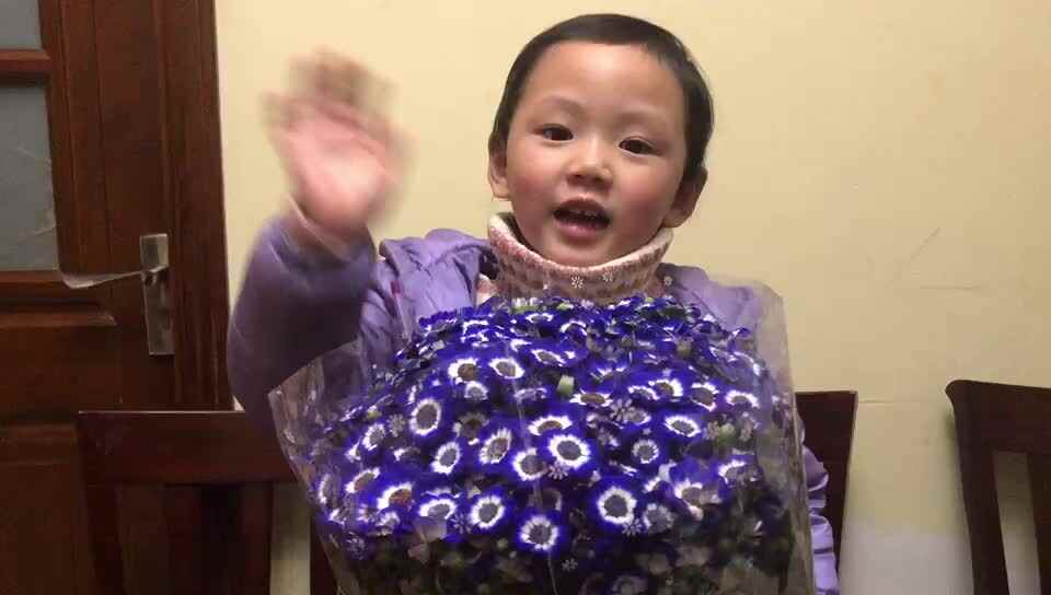 我喜欢的东西8