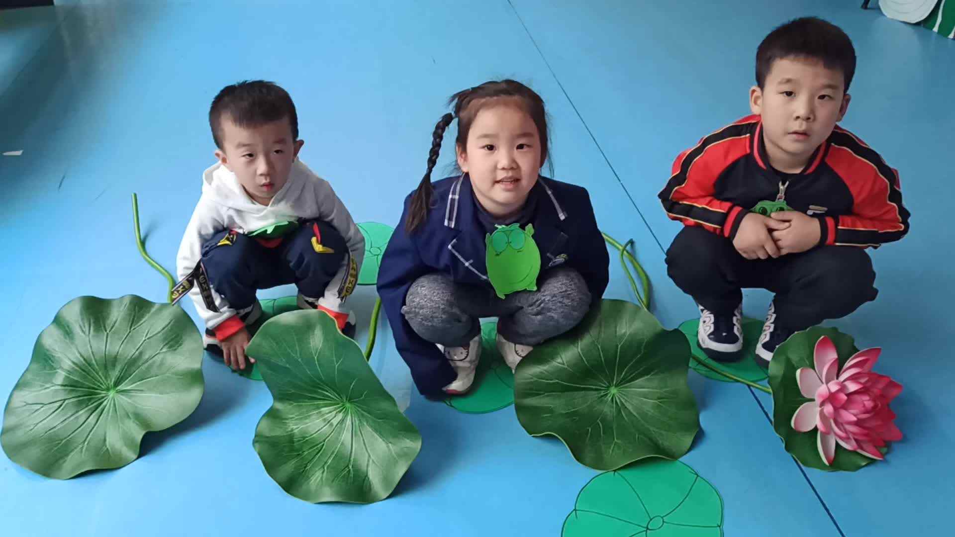 小青蛙
