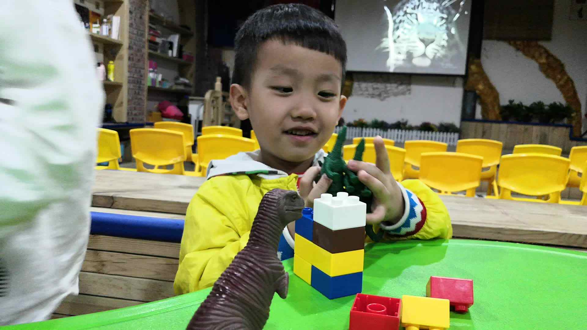 我们可爱的日常瞬间