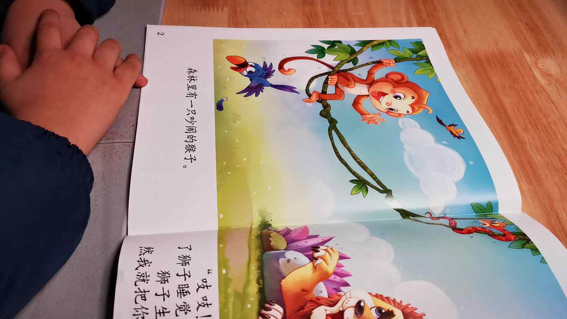 2019.12.11实验中班17号