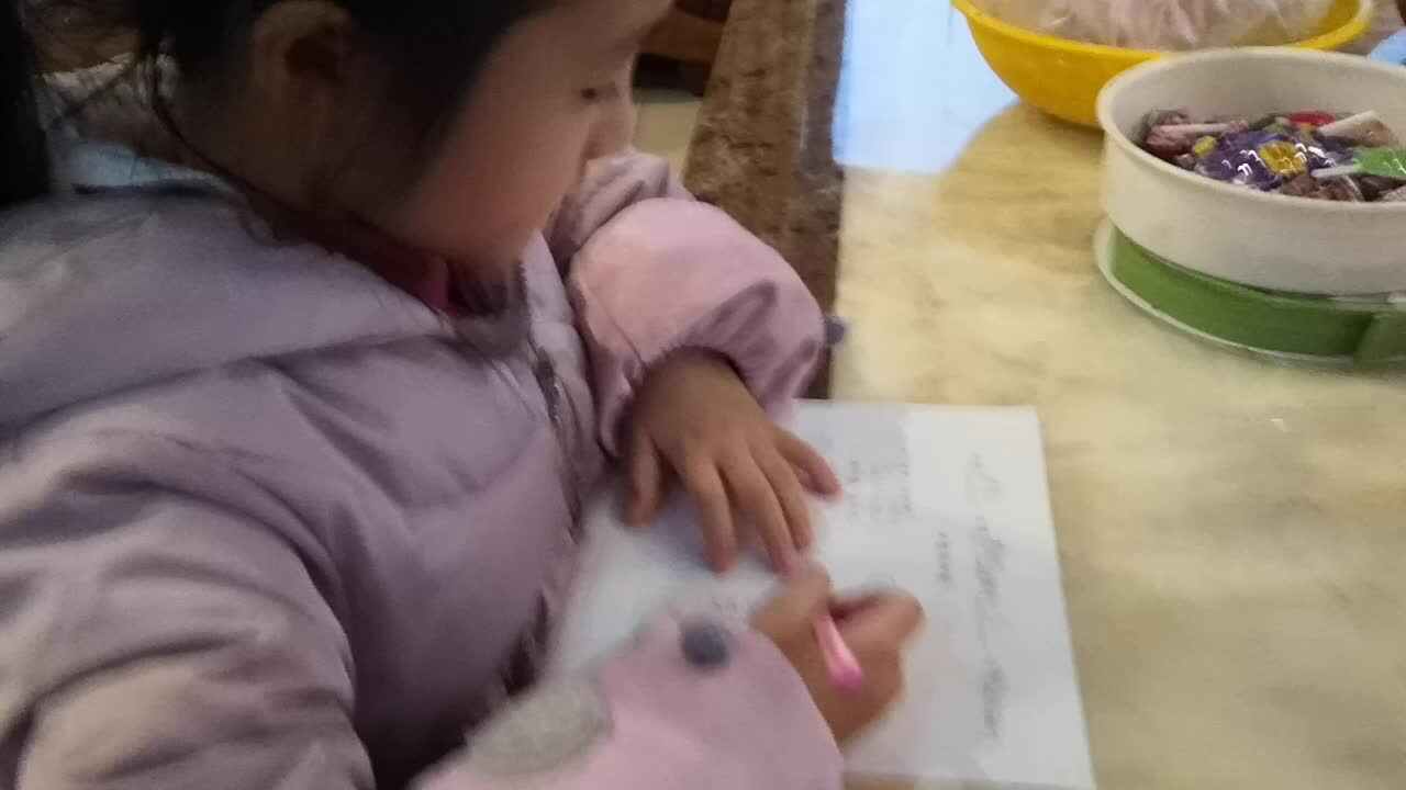 单数和双数