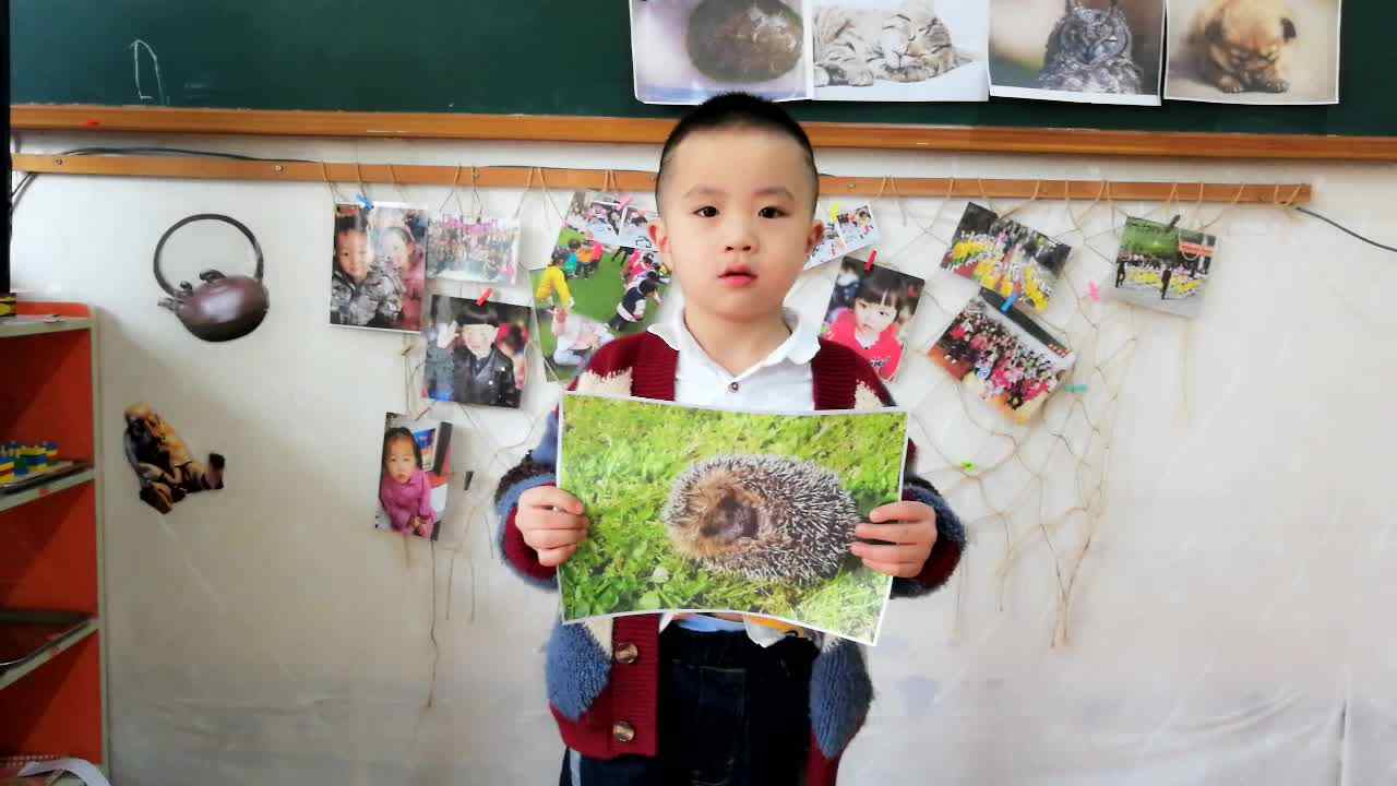 幼儿日常