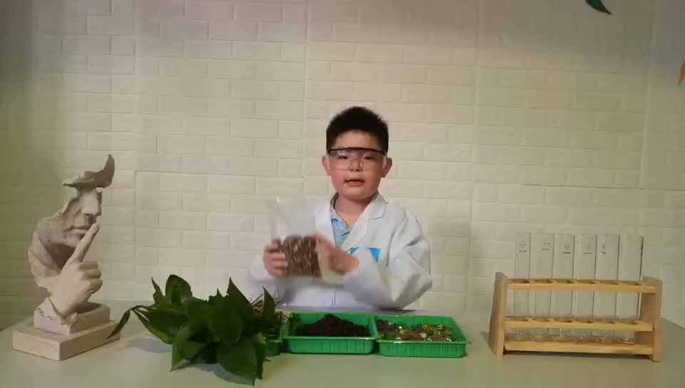奇妙的科学之旅13