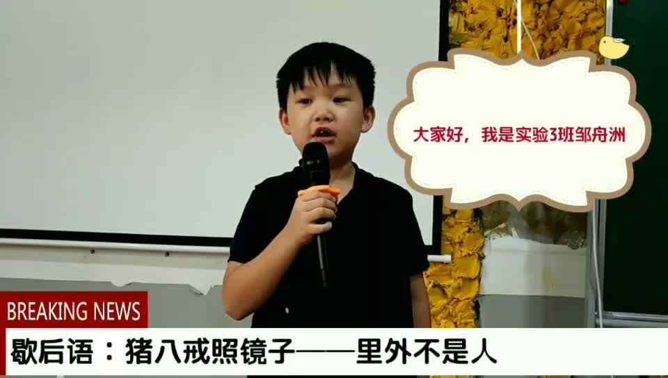 歇后语：猪八戒照镜子里外不是人