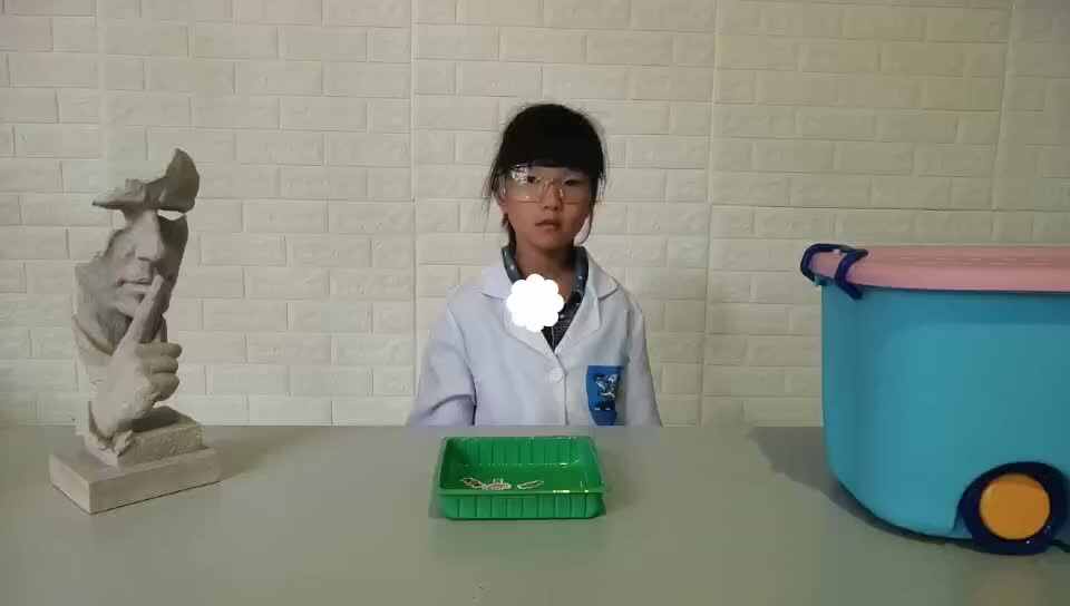 神奇实验妙又妙27