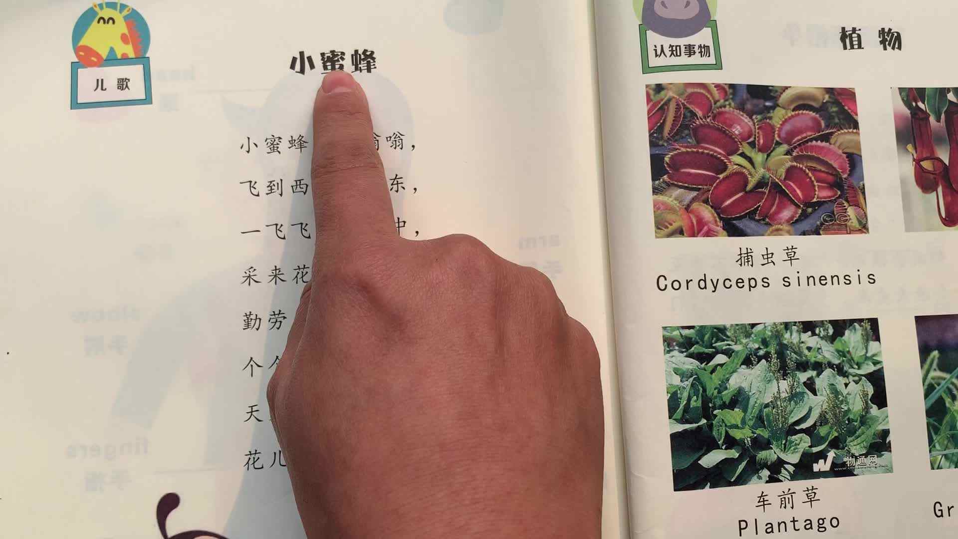 快乐生活9