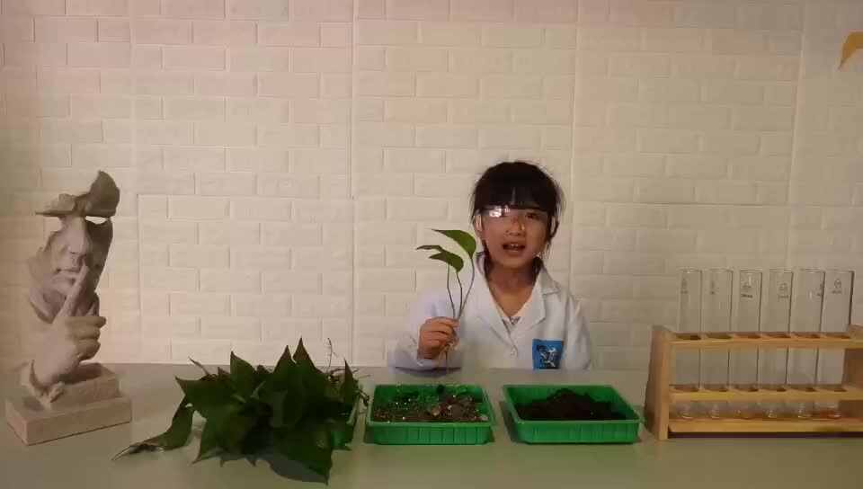 不可思议的科学实验3