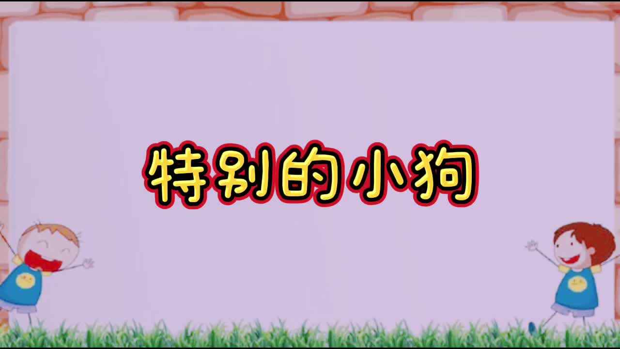 特别的小狗