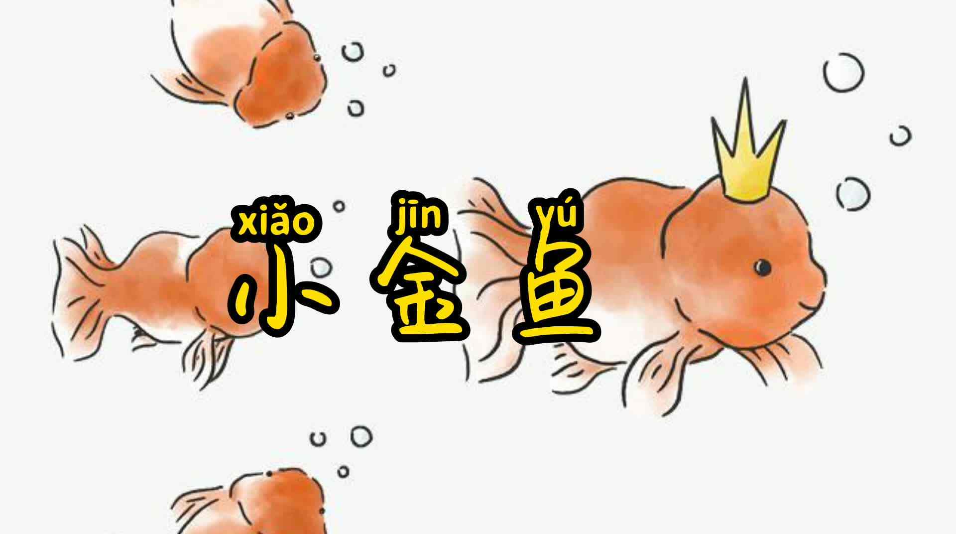 小金鱼