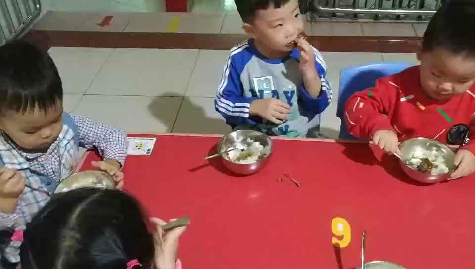 萌娃们的日常午饭