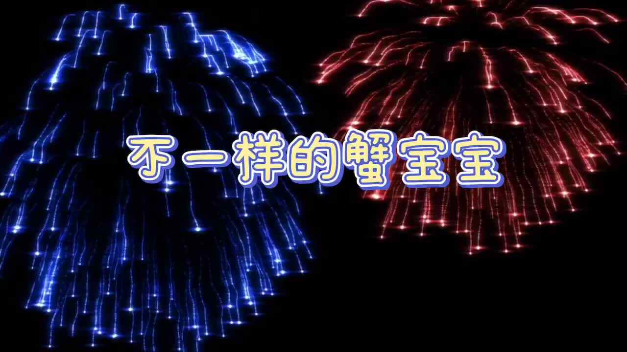 不一样的蟹宝宝