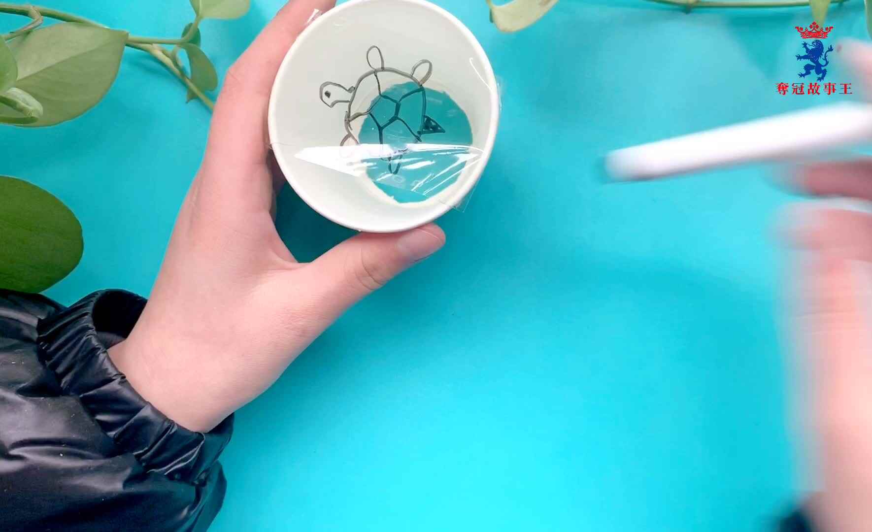 惊掉你下巴——好玩的乌龟