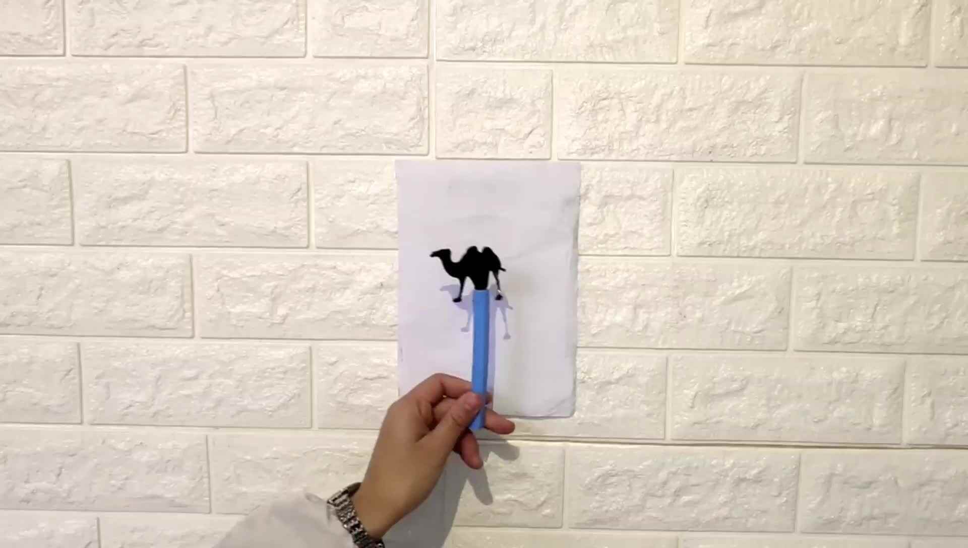 影子