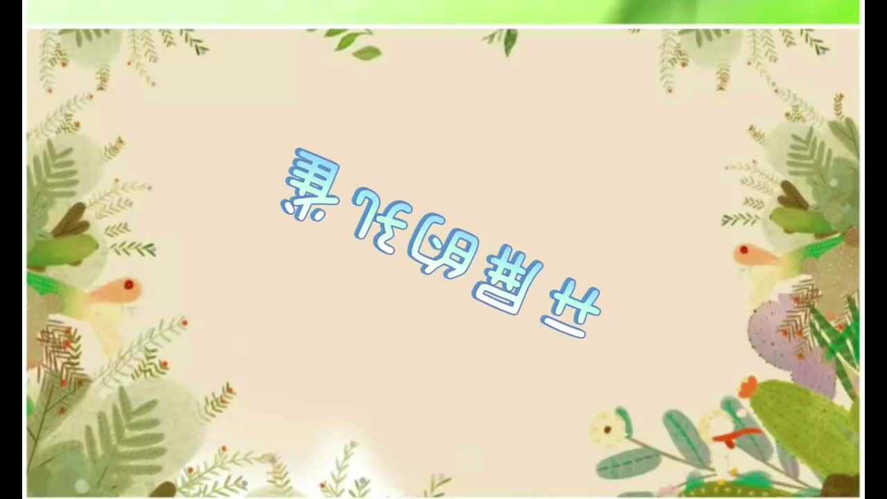 开屏的孔雀