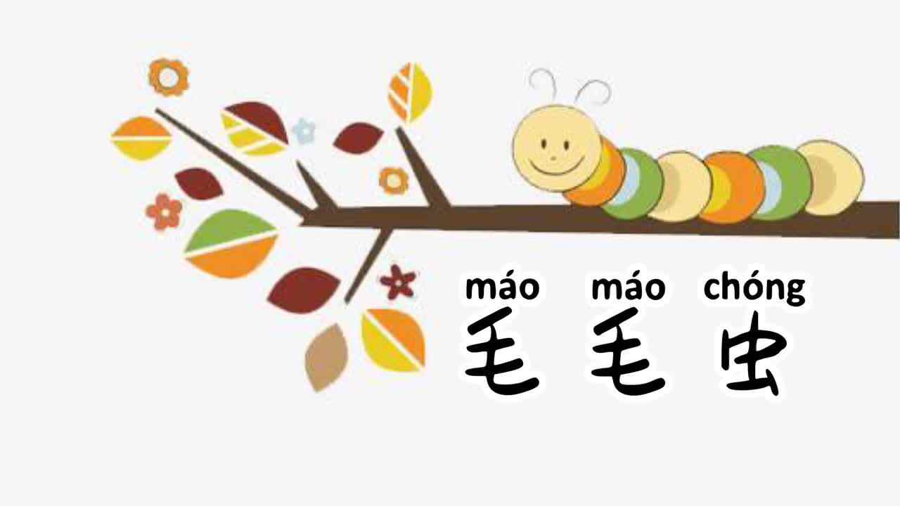 毛毛虫