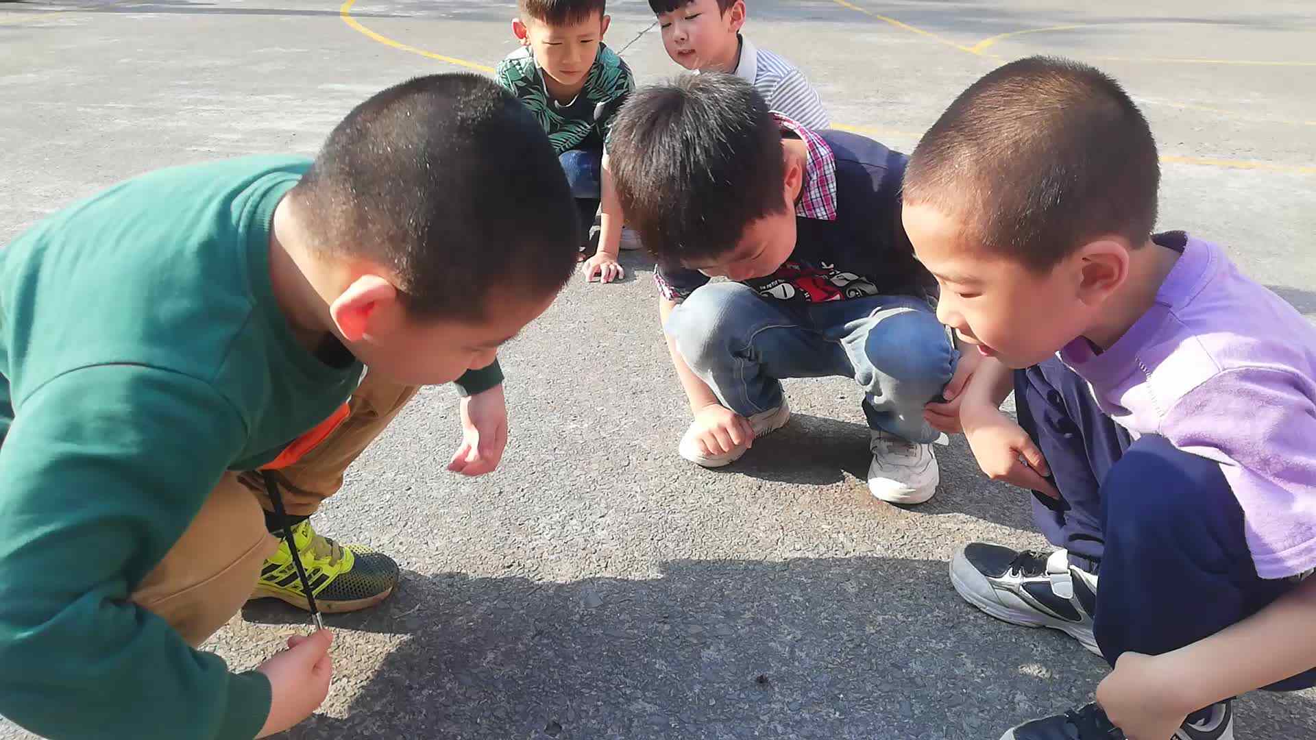认知课程表达能力