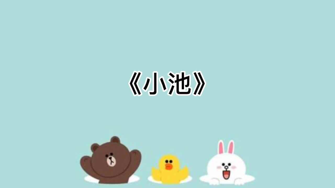 8、《小池》