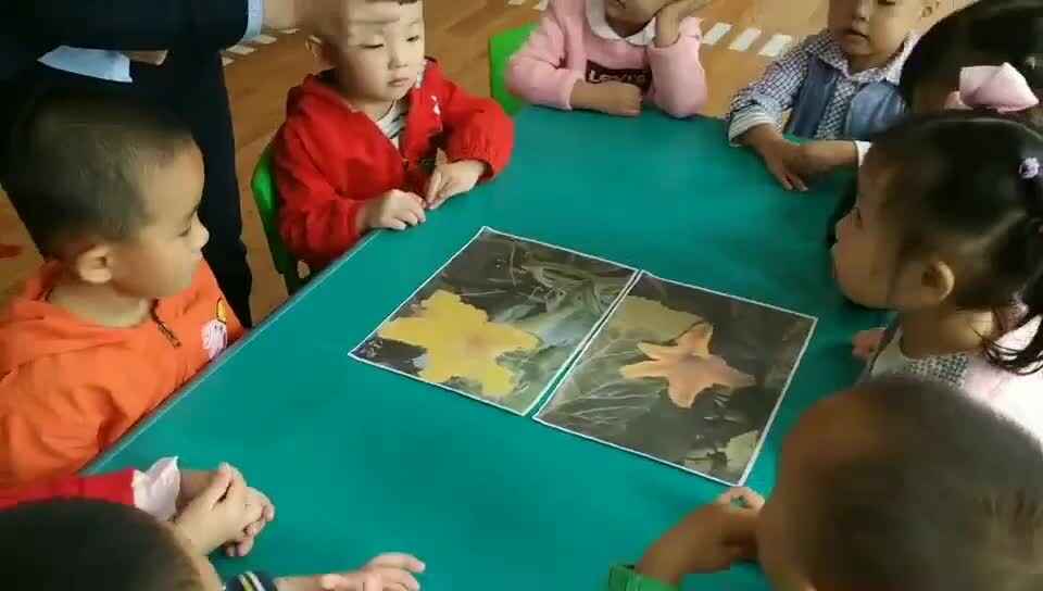 萌娃辨别雌花雄花