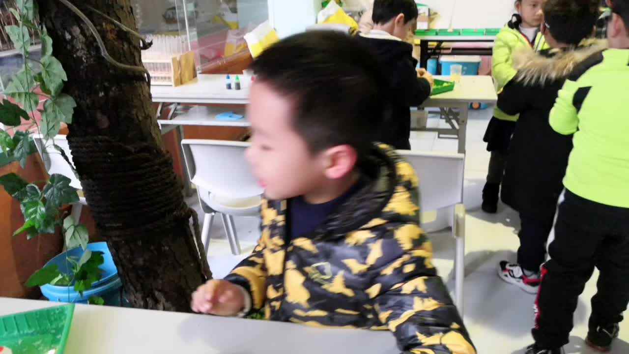 你喜欢科学吗？