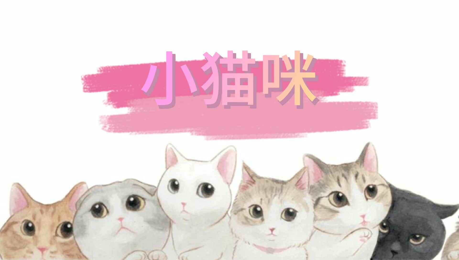 小猫咪