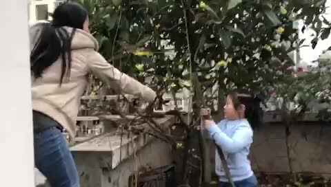 trim.E1E2CAC7-51D5-487B-8DD7-17E98C86B918.MOV