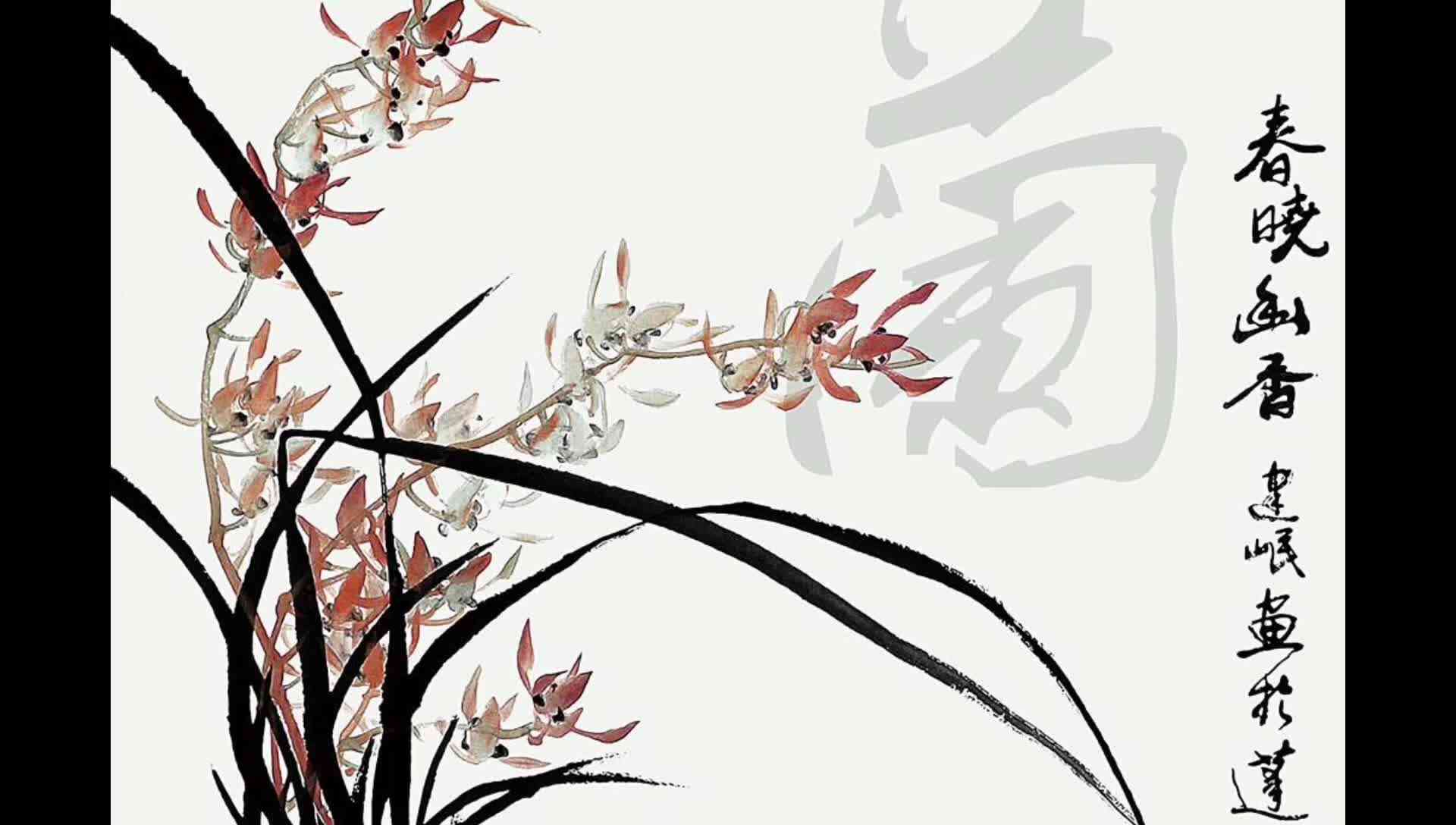 家长美——兰花