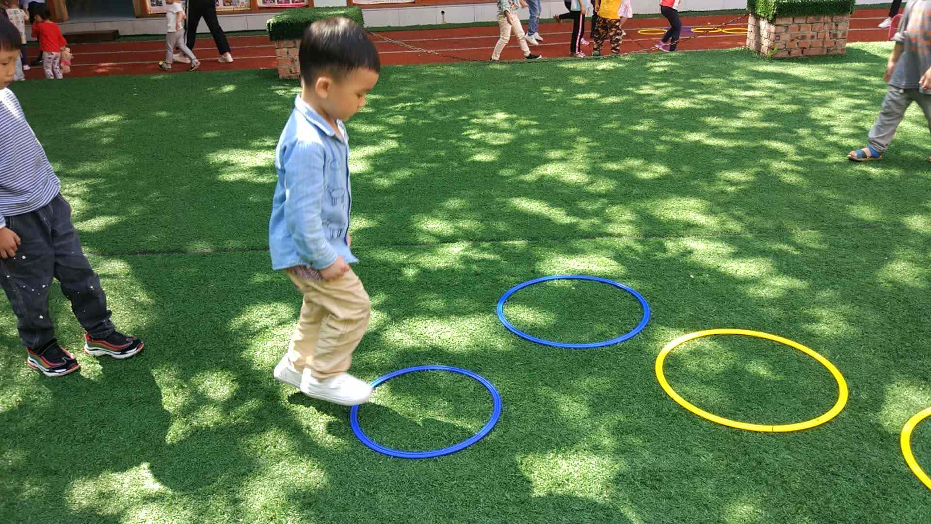 绿色的草坪1