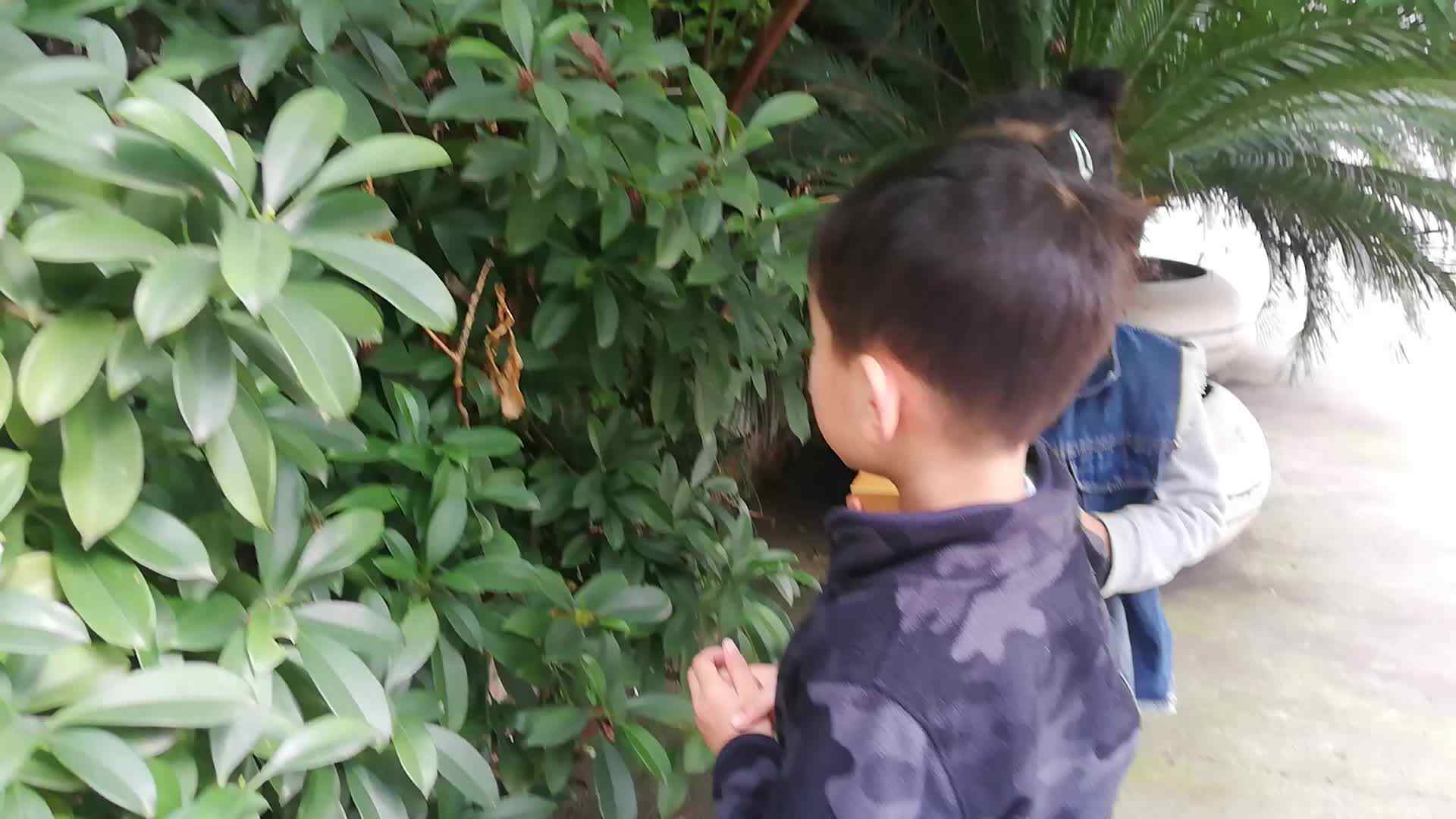 行动课程 表达能力