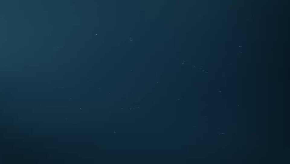 奇妙的科学之旅16