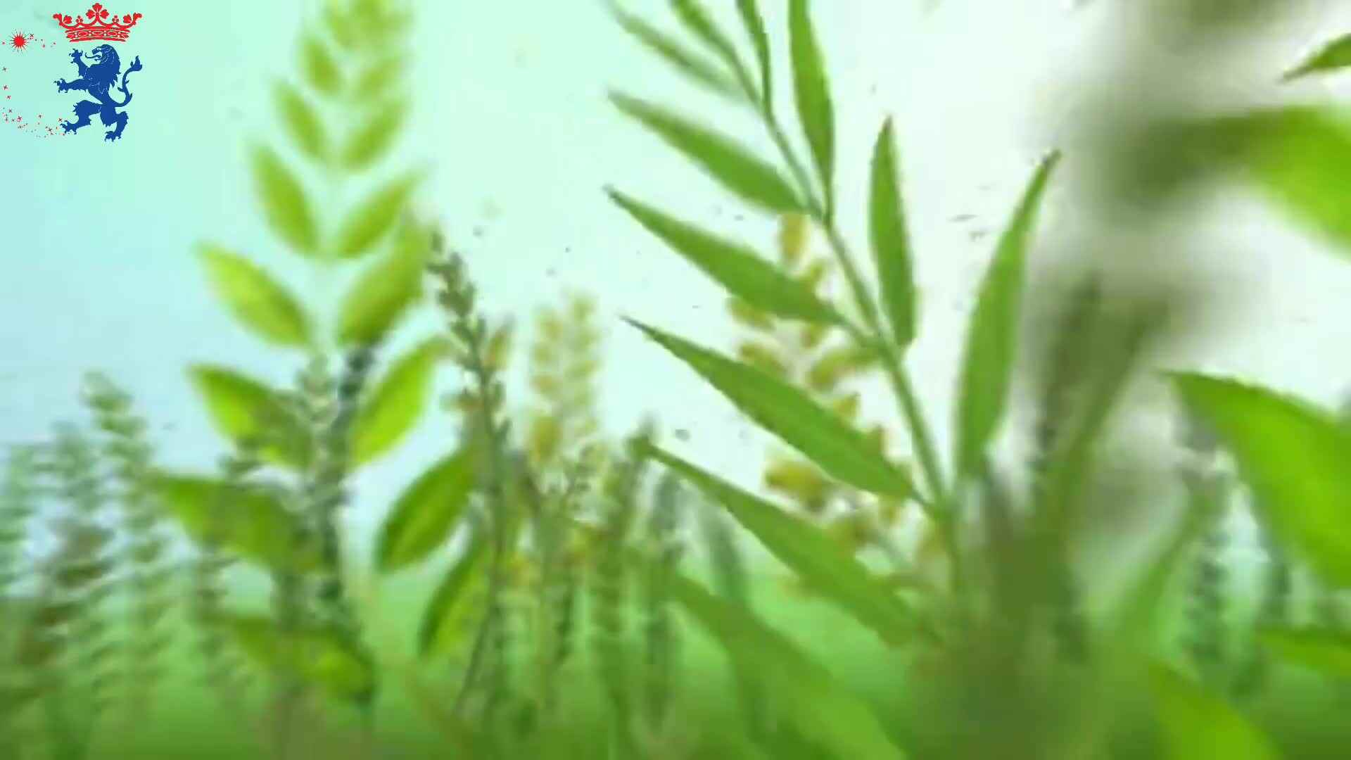 日常知识