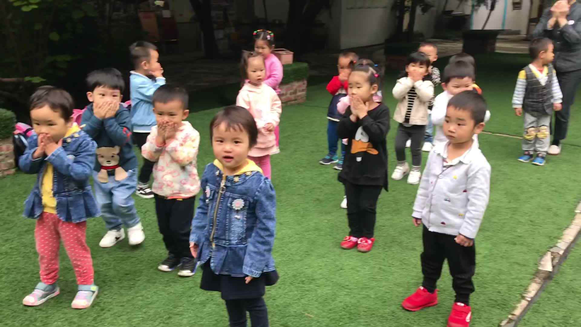 萌娃们-行动课程-运动与旋律