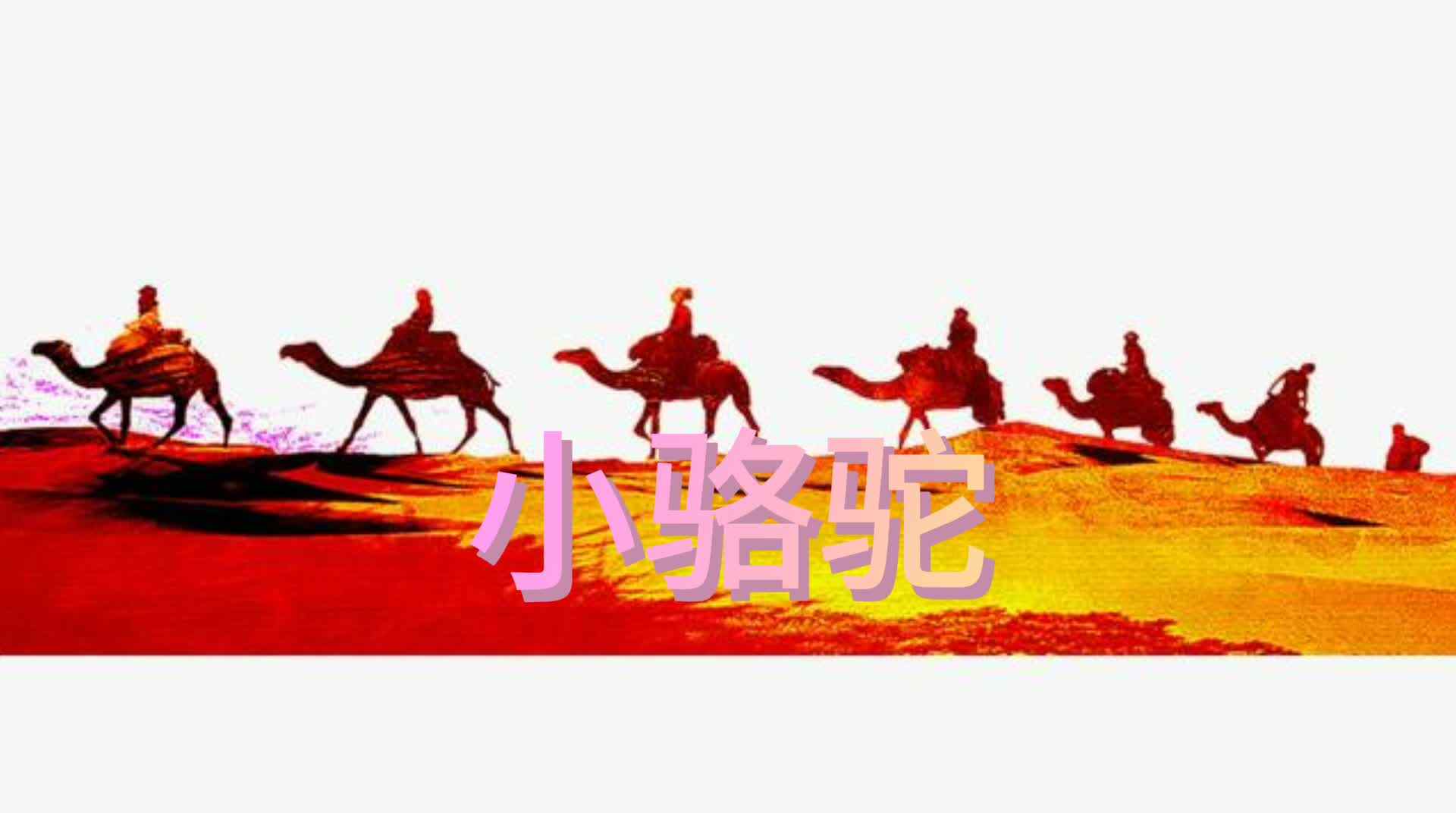 小骆驼