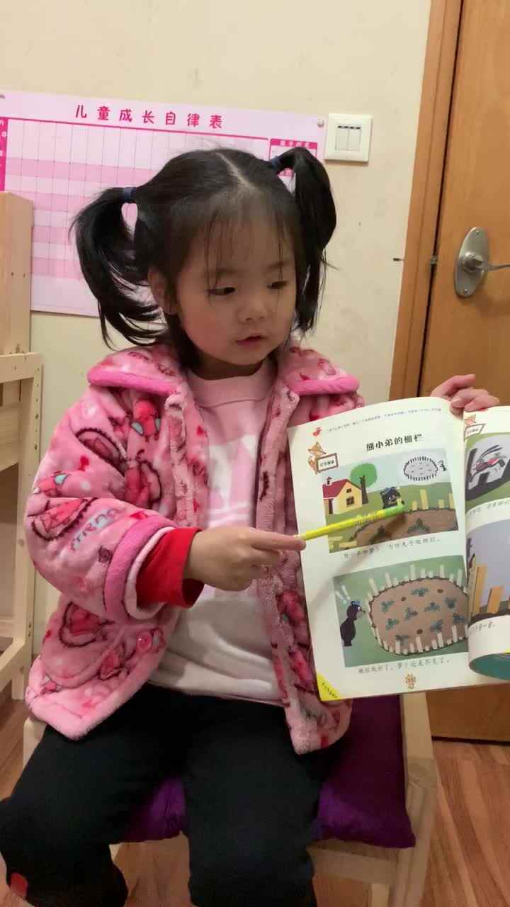 2020.1.6大A班妍熙作业—熊小弟的栅栏