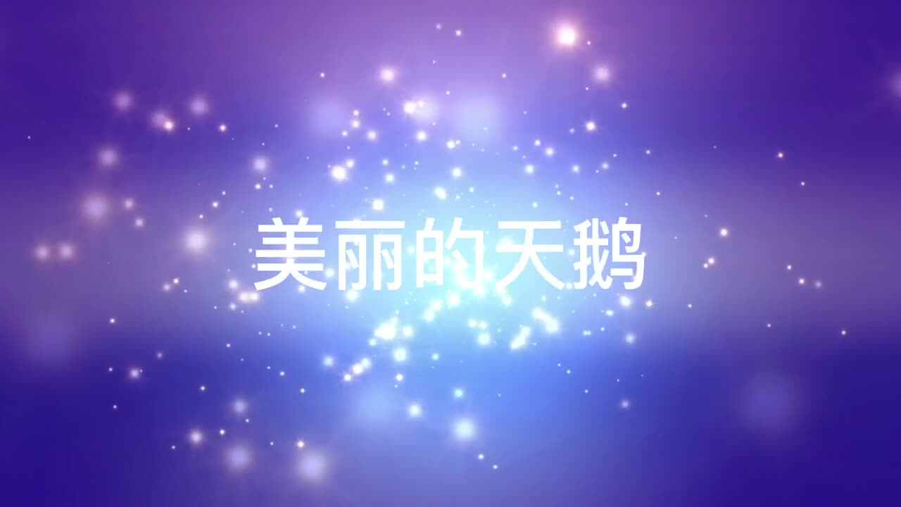 美丽的天鹅